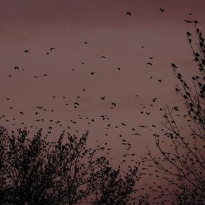 日本人视频亅iZZZZ页码69
