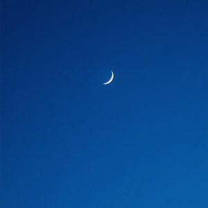 日本人视频亅iZZZZ页码69
